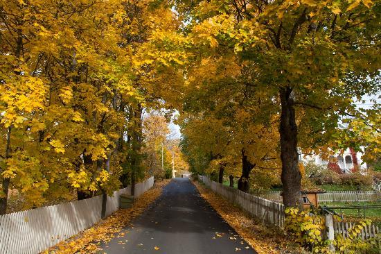 Kongsvinger Norway Fortress and Old Town